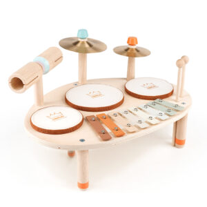 9-in-1 Wooden Montessori Musical Toys for Boys & Girls
